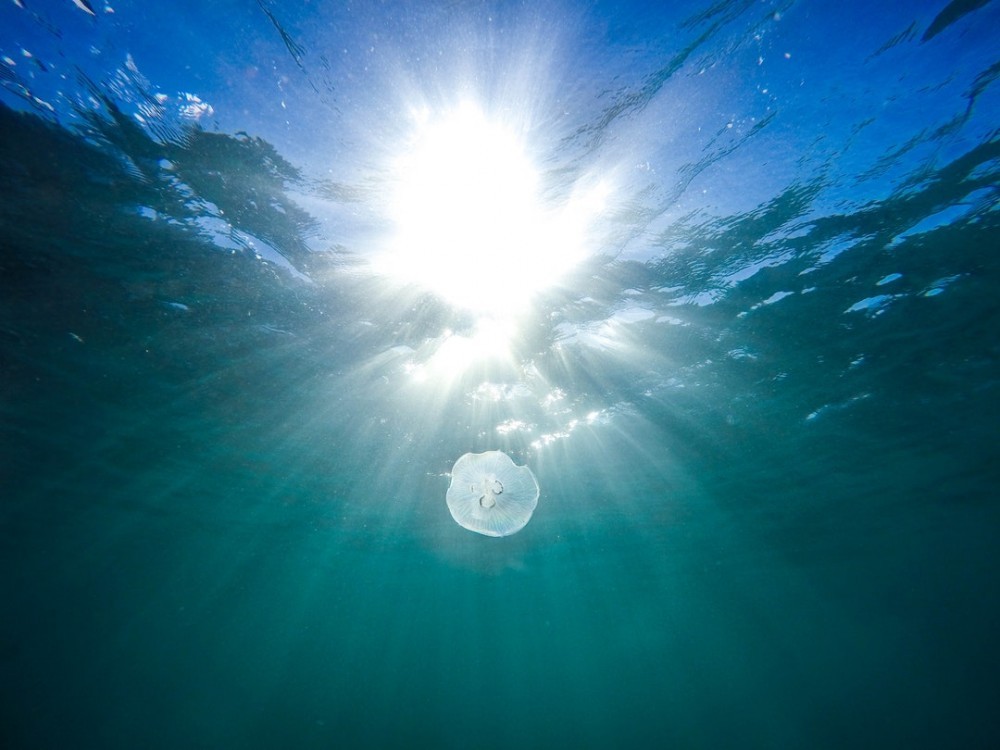 Light underwater