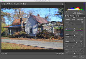 Adobe Photoshop Camera Raw Filter